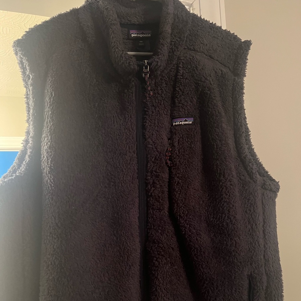 Patagonia vest